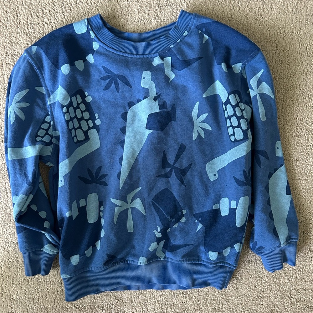 Primark French Terry dinosaur graphic sweatshirt 5/6